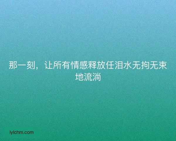 那一刻,让所有情感释放任泪水无拘无束地流淌 那一刻,让所有情感释放任泪水无拘无束地流淌