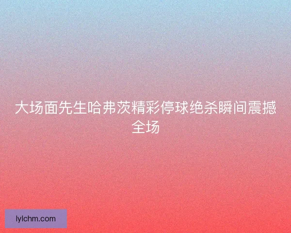 大场面先生哈弗茨精彩停球绝杀瞬间震撼全场